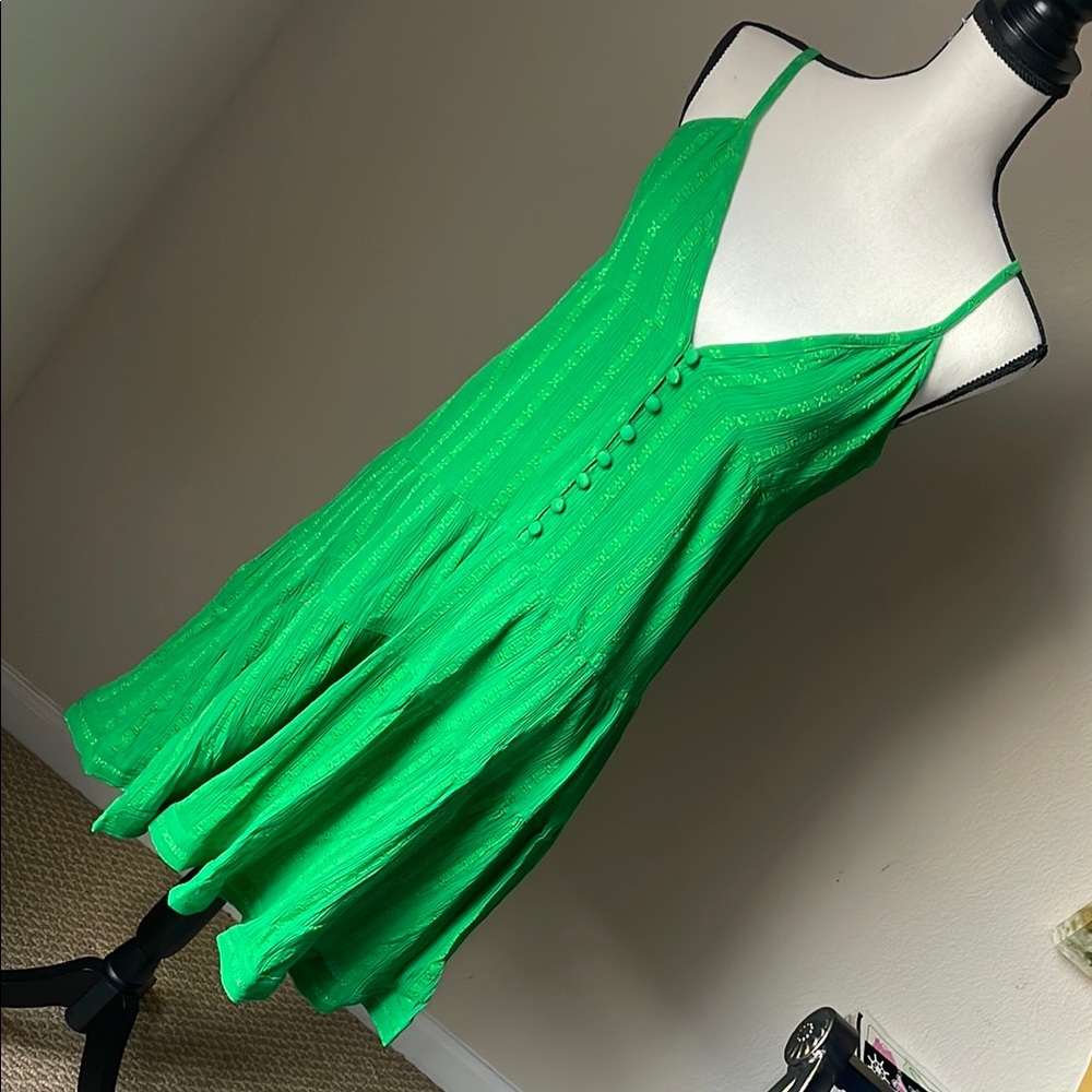 Raga Chaudry NEW with Tags Dress. Kelly green lined. Medium